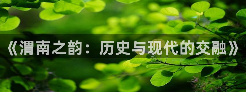 富联娱乐主管是什么职位：《渭南之韵：历史与现代的交融》