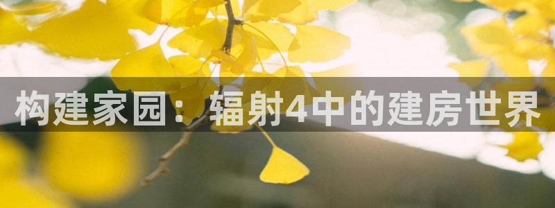 富联娱乐系37997筘：构建家园：辐射4中的建房世界