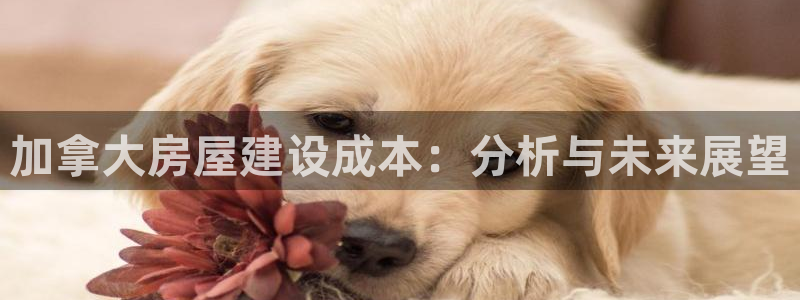富联娱乐若七九九47：加拿大房屋建设成本：分析与未来展望
