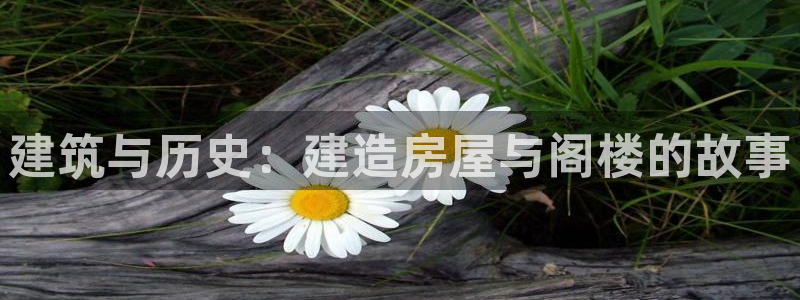 富联娱乐首页网站登录：建筑与历史：建造房屋与阁楼的故事