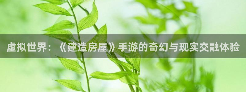 联富花园团购休闲娱乐：虚拟世界：《建造房屋》手游的奇幻与现实交融体验