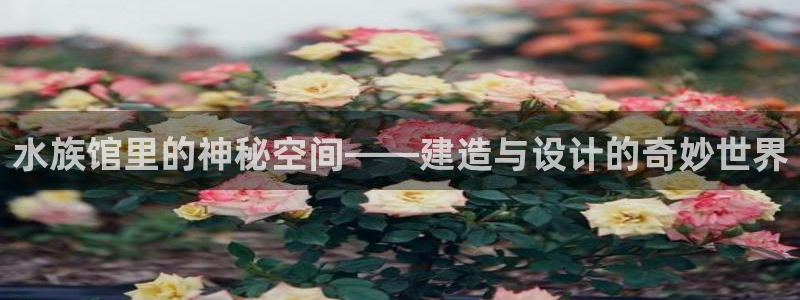 富联娱乐轻7O777：水族馆里的神秘空间——建造与设计的奇妙世界