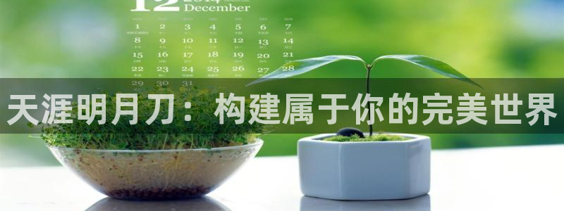 富联2娱乐元哥微博：天涯明月刀：构建属于你的完美世界