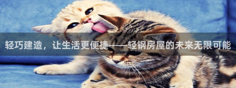 富联娱乐首页：轻巧建造，让生活更便捷——轻钢房屋的未来无限可能