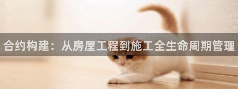 富联娱乐首页网址大全：合约构建：从房屋工程到施工全生命周期管理