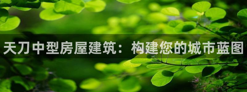富联娱乐于六七五一38：天刀中型房屋建筑：构建您的城市蓝图