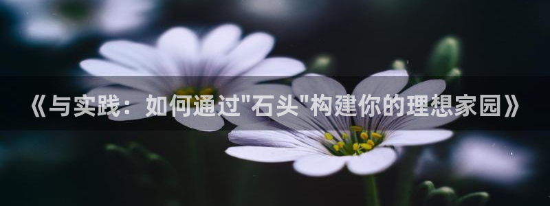 富联娱乐怎么样知乎推荐：《与实践：如何通过\