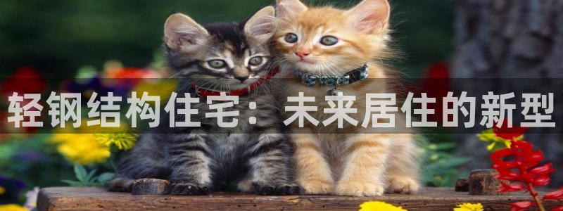 富联娱乐贴吧网站官网：轻钢结构住宅：未来居住的新型