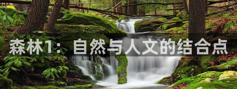 富联娱乐首页：森林1：自然与人文的结合点
