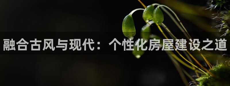 富联娱乐开户费用多少：融合古风与现代：个性化房屋建设之道