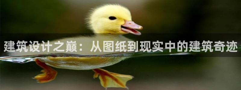 富联娱乐在线注册链接是什么：建筑设计之巅：从图纸到现实中的建筑奇迹