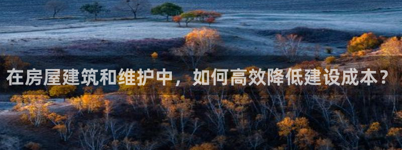 富联娱乐代理是谁开的店：在房屋建筑和维护中，如何高效降低建设成本？