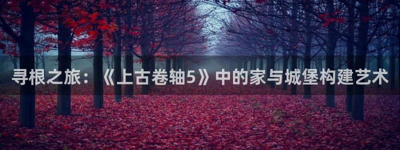 富联娱乐主管后原判官333OO：寻根之旅：《上古卷轴5》中的家与城堡构建艺术
