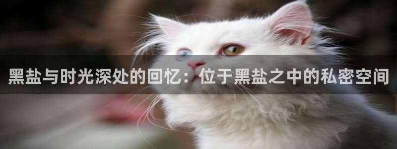 富联娱乐贴吧最新消息网：黑盐与时光深处的回忆：位于黑盐之中的私密空间