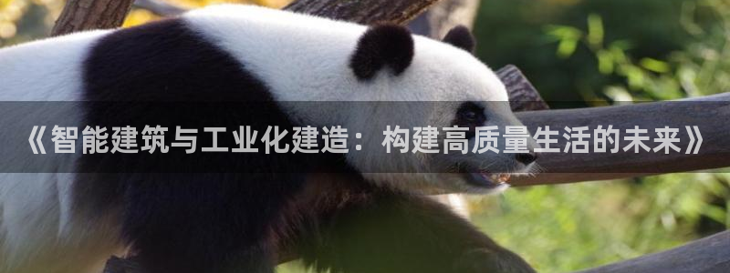 富联娱乐开户条件要求：《智能建筑与工业化建造：构建高质量生活的未来》
