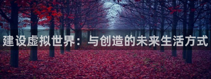 富联娱乐首页在哪看直播：建设虚拟世界：与创造的未来生活方式