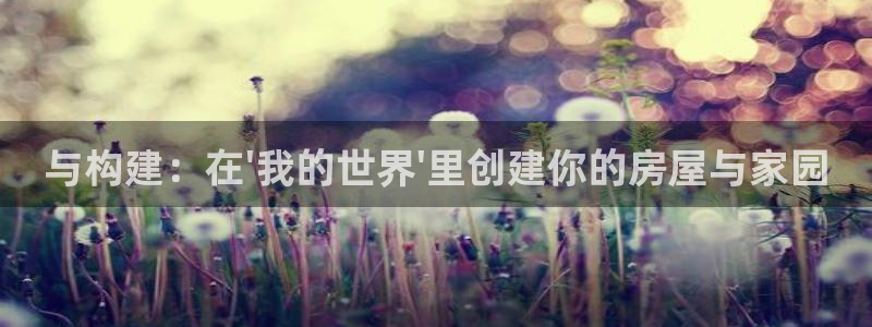 富联娱乐公司简介怎么写：与构建：在\'我的世界\'里创建你的房屋与家园