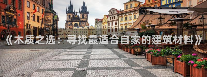 富联娱乐发展历程图：《木质之选：寻找最适合自家的建筑材料》