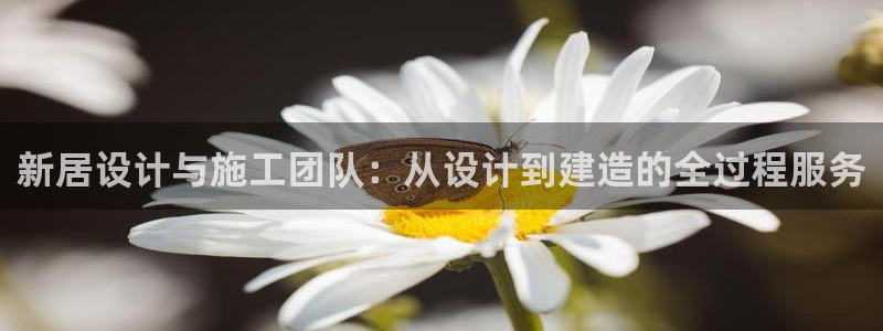 富联娱乐官方网站首页：新居设计与施工团队：从设计到建造的全过程服务