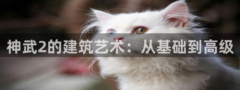 富联娱乐主管是谁啊图片：神武2的建筑艺术：从基础到高级
