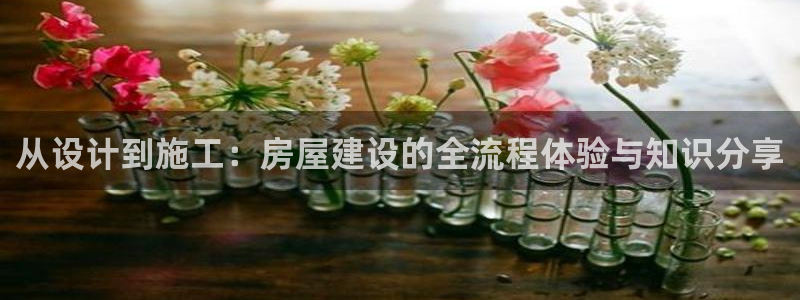 富联娱乐官方网站入口下载：从设计到施工：房屋建设的全流程体验与知识分享