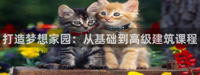 富联娱乐主管是谁啊图片：打造梦想家园：从基础到高级建筑课程