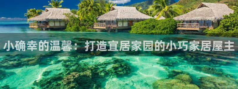 富联娱乐官网下载安卓版：小确幸的温馨：打造宜居家园的小巧家居屋主