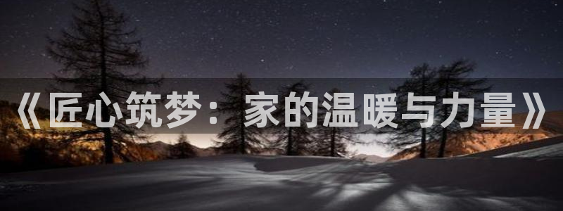 富联娱乐下载官网app：《匠心筑梦：家的温暖与力量》