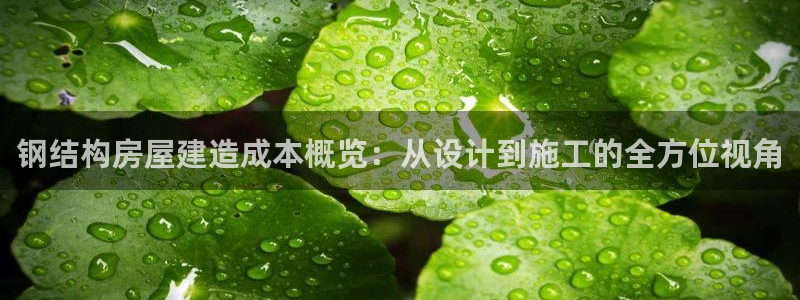 富联娱乐登录地址怎么改：钢结构房屋建造成本概览：从设计到施工的全方位视角