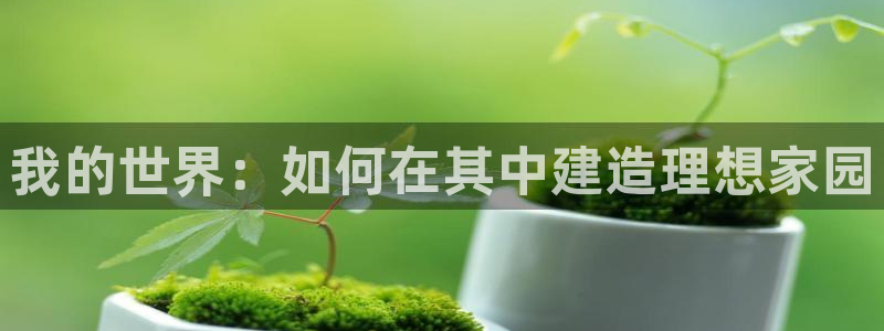 富联娱乐联盟：我的世界：如何在其中建造理想家园