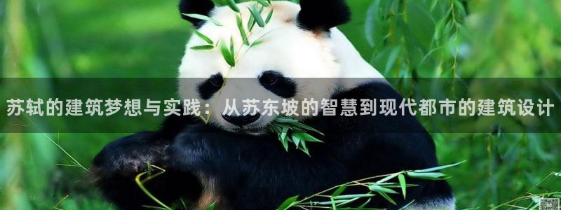 富联娱乐官方网站：苏轼的建筑梦想与实践：从苏东坡的智慧到现代都市的建筑设计