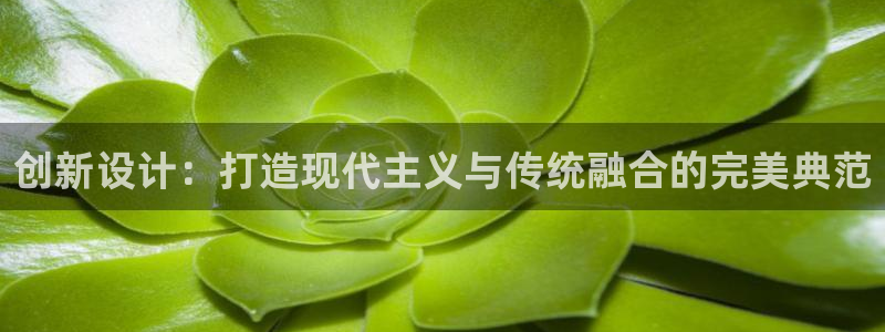 富联娱乐官网下载安卓版：创新设计：打造现代主义与传统融合的完美典范