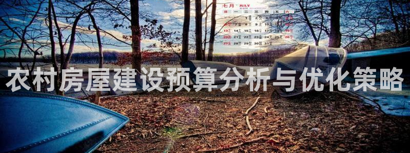 富联娱乐平台招商电话：农村房屋建设预算分析与优化策略