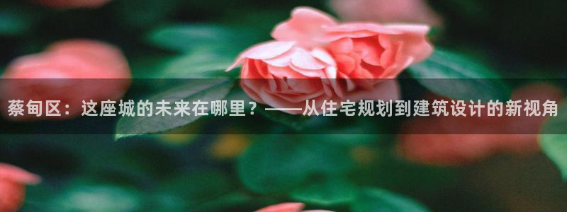 富联娱乐怎么样知乎推荐：蔡甸区：这座城的未来在哪里？——从住宅规划到建筑设计的新视角