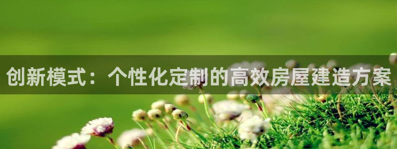 富联娱乐里拔7276O：创新模式：个性化定制的高效房屋建造方案