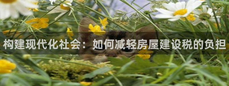 富联娱乐总裁简介图片大全：构建现代化社会：如何减轻房屋建设税的负担