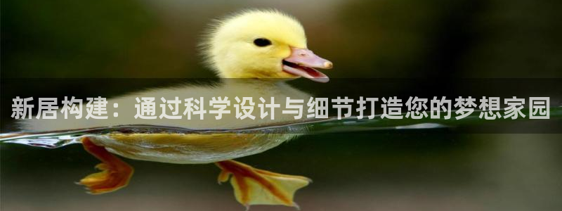 富联娱乐怎么样：新居构建：通过科学设计与细节打造您的梦想家园