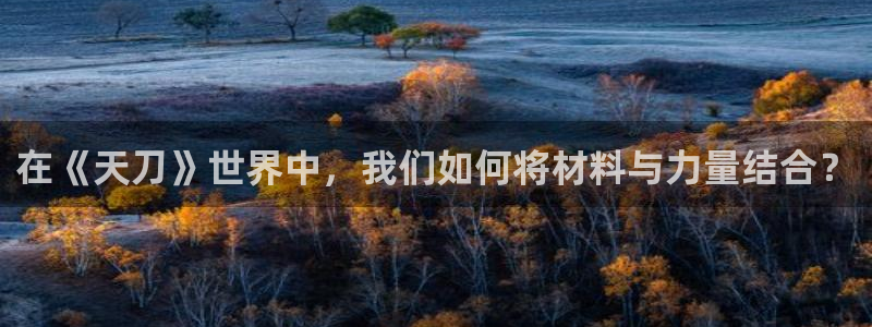 富联2娱乐：在《天刀》世界中，我们如何将材料与力量结合？