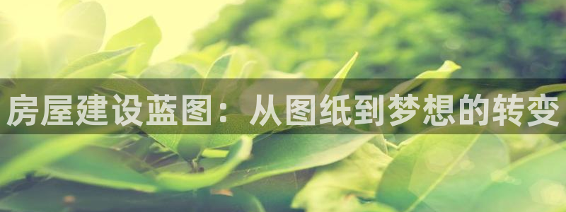 富联娱乐平台特点分析：房屋建设蓝图：从图纸到梦想的转变