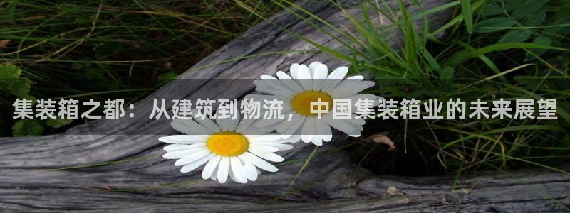 富联娱乐平台登录不上去：集装箱之都：从建筑到物流，中国集装箱业的未来展望
