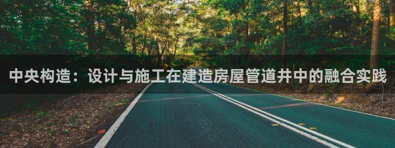 富联娱乐平台登录不上去：中央构造：设计与施工在建造房屋管道井中的融合实践