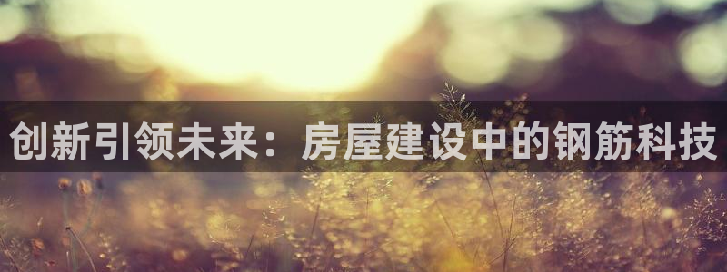 富联娱乐官网入口下载：创新引领未来：房屋建设中的钢筋科技