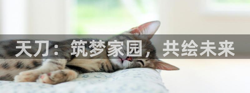 富联娱乐主管去判官333OO：天刀：筑梦家园，共绘未来