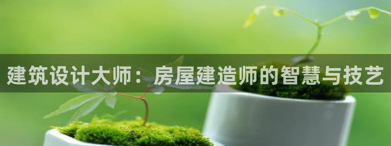 富联娱乐主管去天神779O3：建筑设计大师：房屋建造师的智慧与技艺