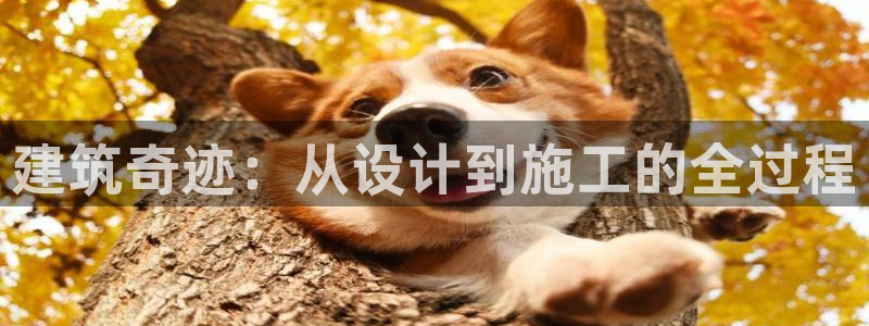 富联娱乐最稳定app：建筑奇迹：从设计到施工的全过程