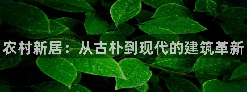 富联娱乐忘记账号怎么办：农村新居：从古朴到现代的建筑革新