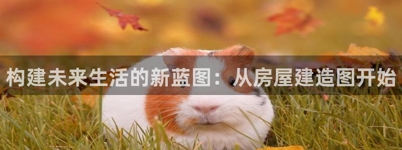 富联娱乐平台特点和优势：构建未来生活的新蓝图：从房屋建造图开始