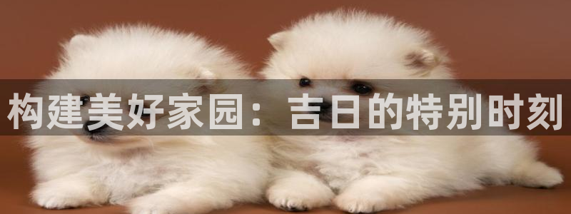 富联娱乐开户条件是什么：构建美好家园：吉日的特别时刻