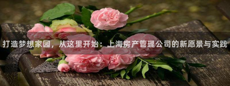 富联娱乐账号注册流程：打造梦想家园，从这里开始：上海房产管理公司的新愿景与实践