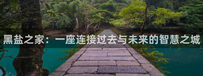 富联娱乐官方网站下载安装：黑盐之家：一座连接过去与未来的智慧之城